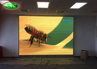 TVのショールームのための屋内HD P3フル カラーのLED表示スクリーン/パネル/板