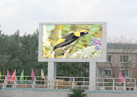フル カラーP10掲示板のビデオ壁の企業の広告のための屋外のLED表示スクリーン