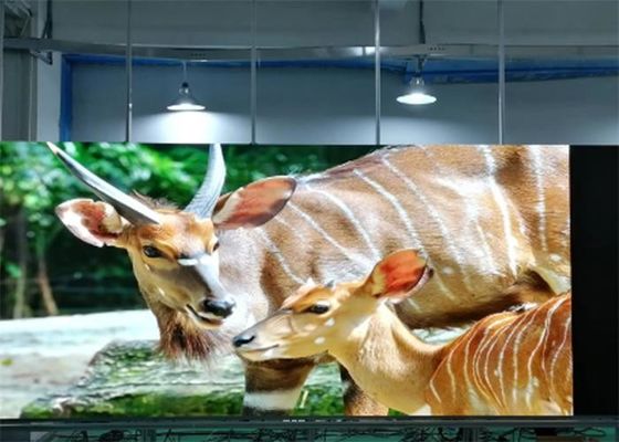 P1.923 屋内フル カラー LED スクリーン SMD1515 壁に取り付けられた超高精細