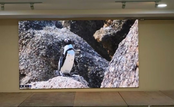 鋳型アルミニウムP5 LEDスクリーン LEDディスプレイ 320x160mm モジュールサイズ