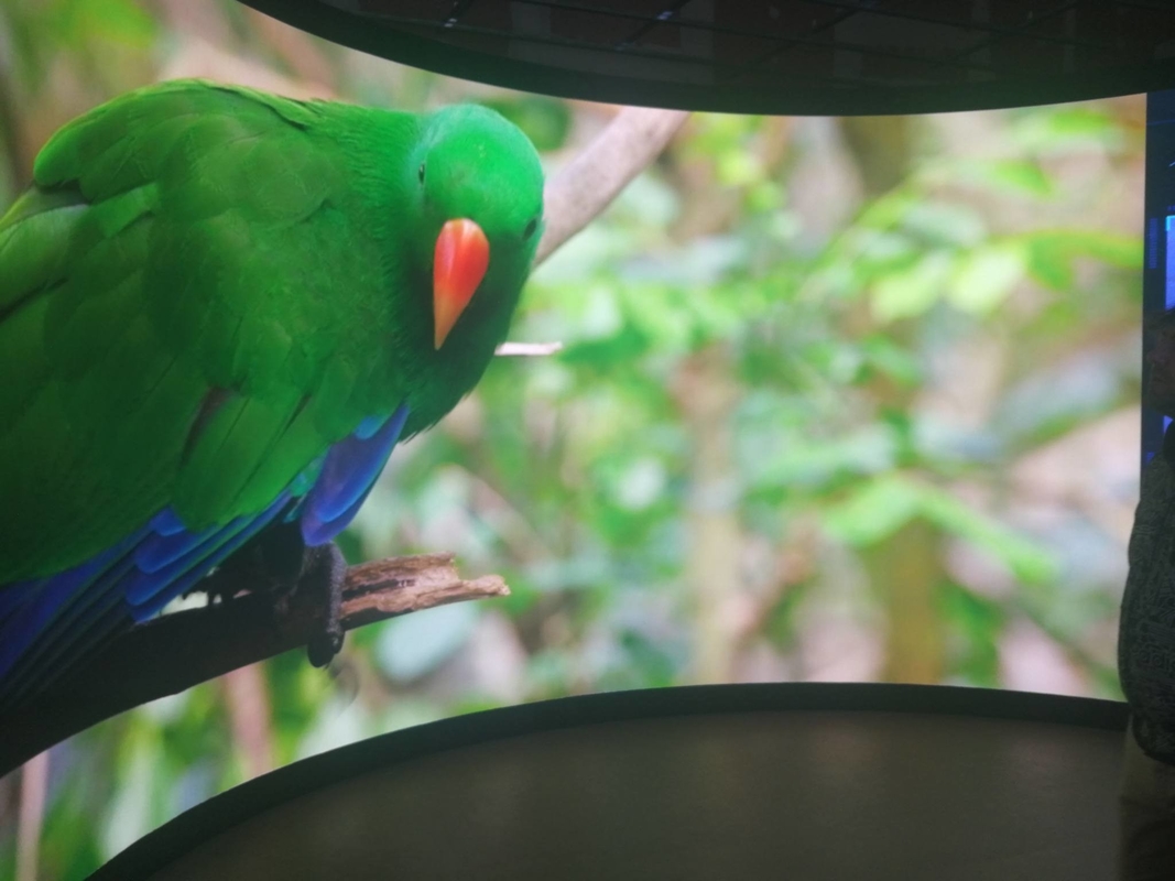 ダイ・カスト アルミニアム 囲み HD 柔軟なモジュール インダース P2 柔軟なLED モジュール 広告スクリーン