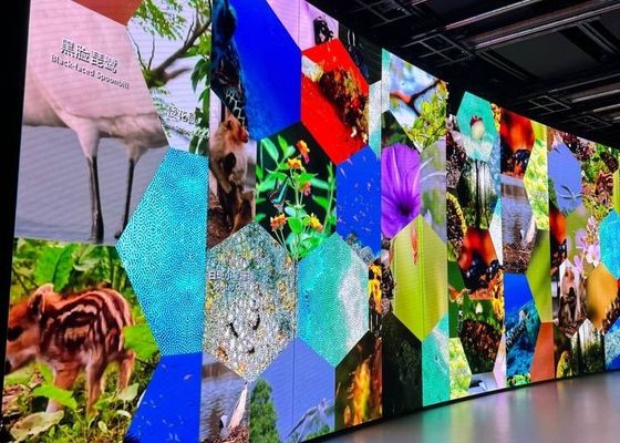 カスタマイズされたキャビネットサイズP6任意のサイズでディスプレイソリューションのための固定LED広告パネル