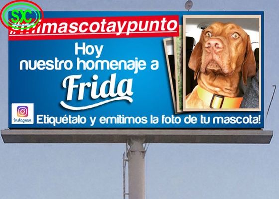 鉄箱/レンタル 商業用 フリースタンドアウトドア フルカラー LED ディスプレイ ストリートとスーパーマーケットの広告用