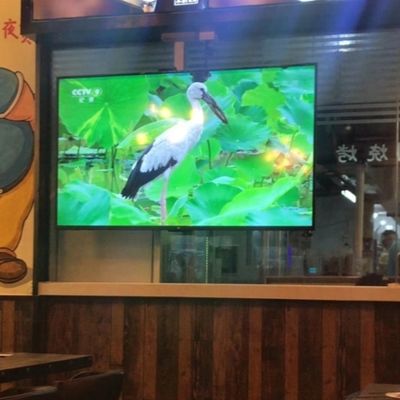 お買い得 屋内防水1R1G1B LEDモジュール 300*168.75mm 鮮やかでインパクトのある広告ディスプレイ用 オンライン