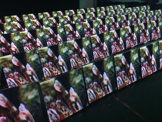 屋外の使用料のLED表示防水段階スクリーン背景の壁6500K-9500K